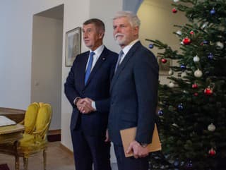 Na snímke český prezident