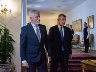 Na snímke český prezident