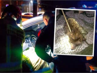 Myslela si, že zachránila