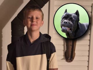 BRUTÁLNY útok! Tri psy