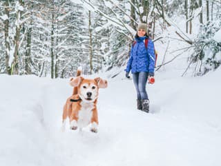 Kedy je prechádzka so