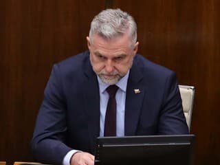 Poslanci NR SR hlasujú