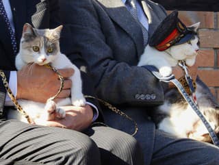 Novou prednostkou japonskej železničnej