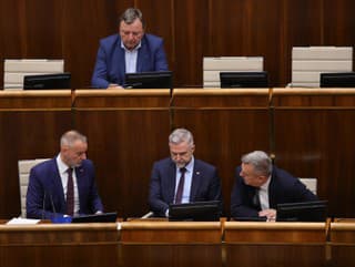 Poslanci NR SR hlasujú