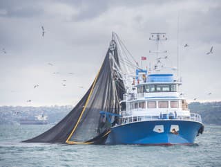 Lov rýb, aký nechceli