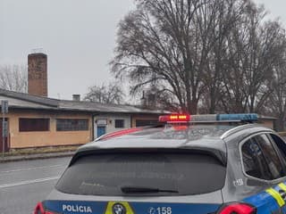 Pri policajnom zásahu zomrela