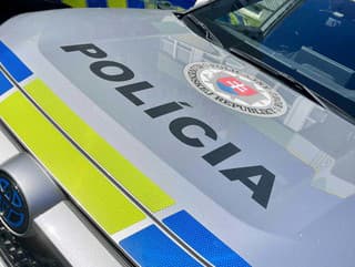 Muž v Snine fyzicky