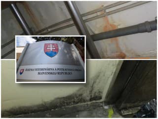 ZISTENIA z kontrol v