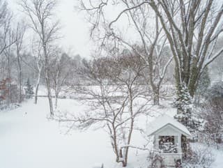 Garden at snow storm