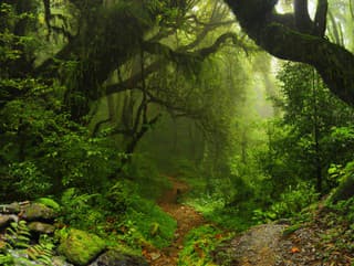 Svet to ešte nevidel: