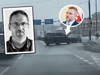 Myšička Pellegriniho kolóny vzbudila