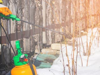 Skrytá hrozba v kôre