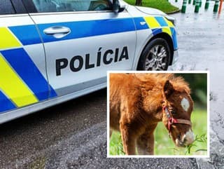 Kuriózna situácia v Šuranoch: