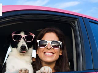 TEST OSOBNOSTI Aký pes