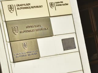 Jelinková Dudzíková sa vzdala