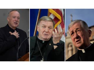 Kardinál Robert McElroy, kardinál