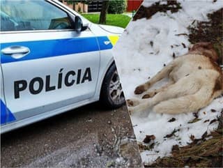 OHAVNÝ čin v Handlovej: