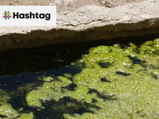 Zabudnuté kúpalisko vo Zvolene