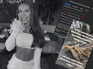 Okolo tragickej nehody Moniky