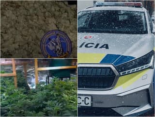 Pezinský „kvetinár“ mal doma