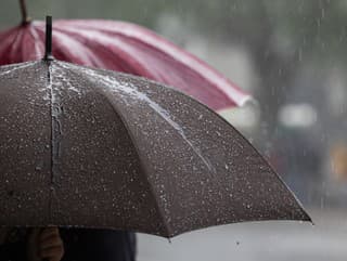 Zima ustupuje, prichádzajú lejaky: