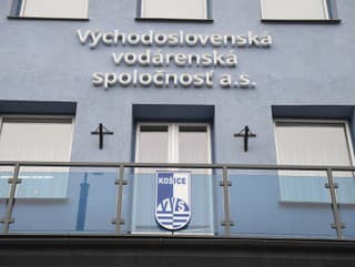 Východoslovenská vodárenská spoločnosť (VVS)