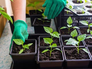 Dve najväčšie chyby pri