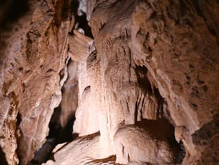 Minulý rok sa stala