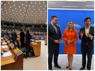 Šubová s prejavom v