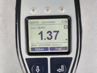 Vodičke v Novom Meste