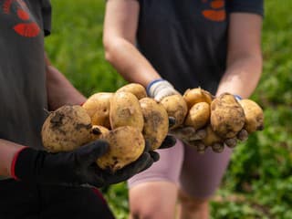 Pri nákupe nezabudnite sledovať,