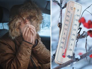 Je to POTVRDENÉ! Beštia