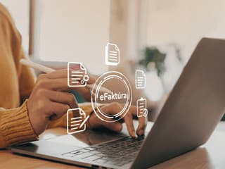 Slovenskí podnikatelia pod drobnohľadom: