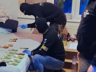 Policajná akcia Sáva.