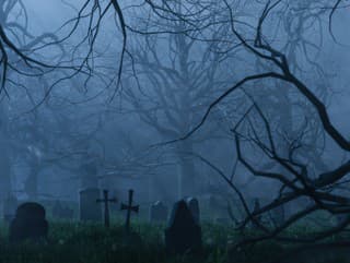 Ostatní mali úctu, ju