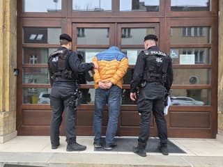 Majiteľ hokejového klubu pred