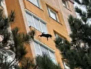 Záber, z ktorého trhá