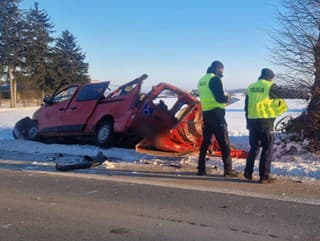 V minibuse prišli o