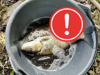 Hororové zistenia v slovenskej