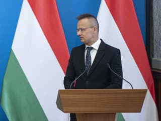 Podpredseda kosovskej vlády Besnik