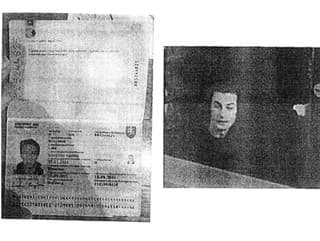 Medjedovic sa preukazoval aj