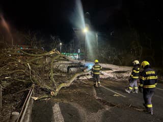 Hasiči mali plné ruky