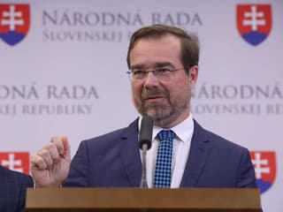 Šaško pre stabilizačný príspevok