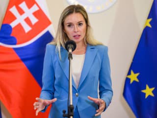 Splnomocnenkyňa vlády SR pre