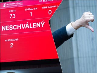 Mimoriadna schôdza o korupcii