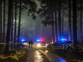 Pátrali po ňom takmer