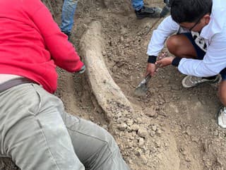 Gigantický nález z doby