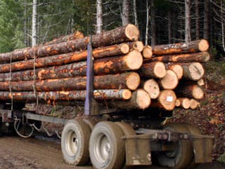 Aktivisti v pozore: Správa