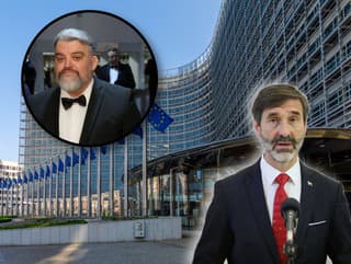 Vláda MLČÍ, Ficov exporadca