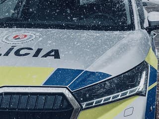 Prekvapivá situácia! V potoku